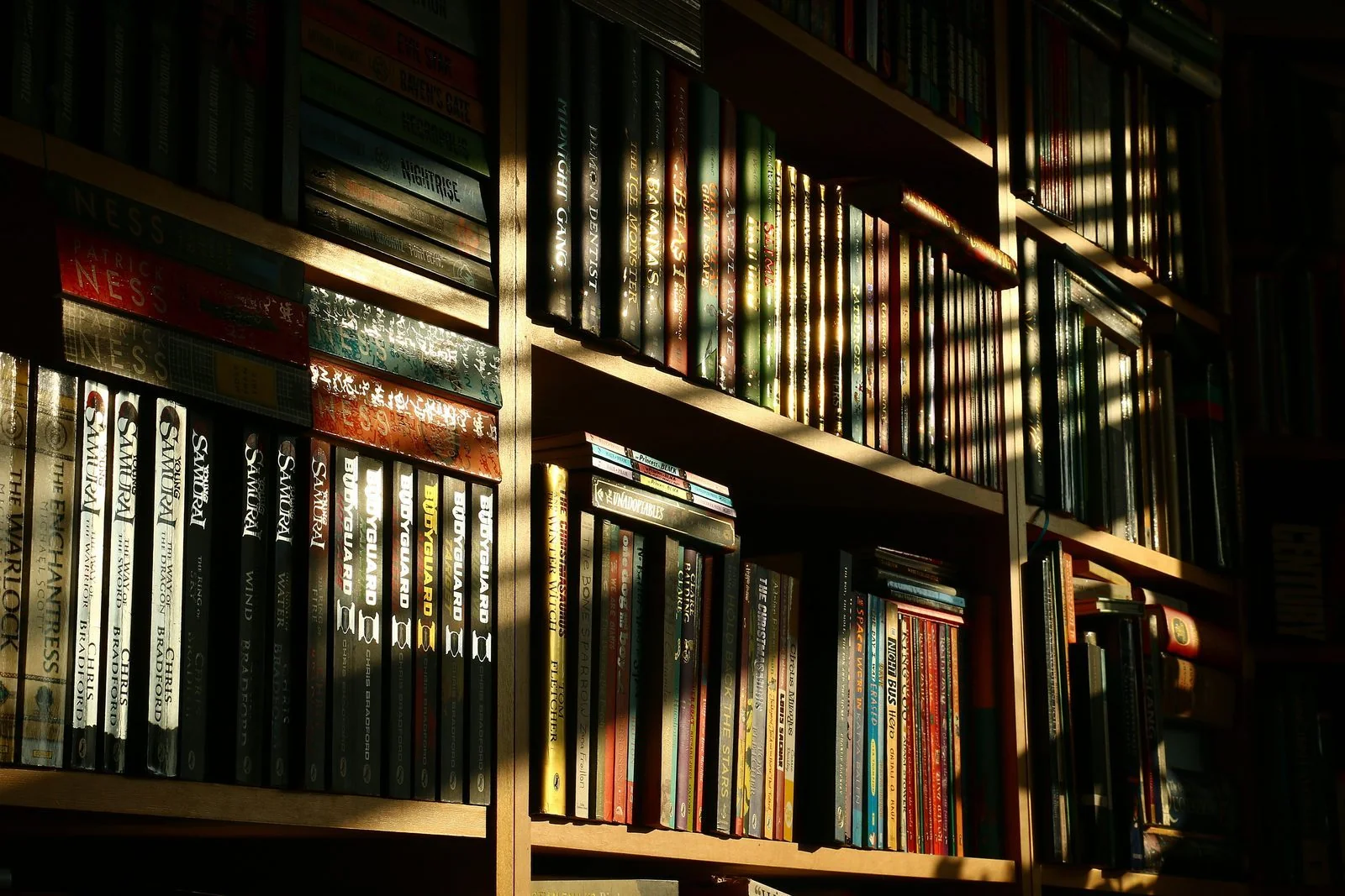 Close-up of book spines on a shelf, lit by warm raking light.